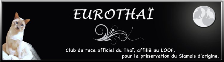 logo-eurothai